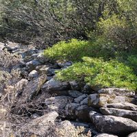 Photo de France - La randonnée du lac des Olivettes